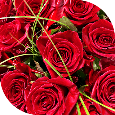 Kytica červených kvetov ruží